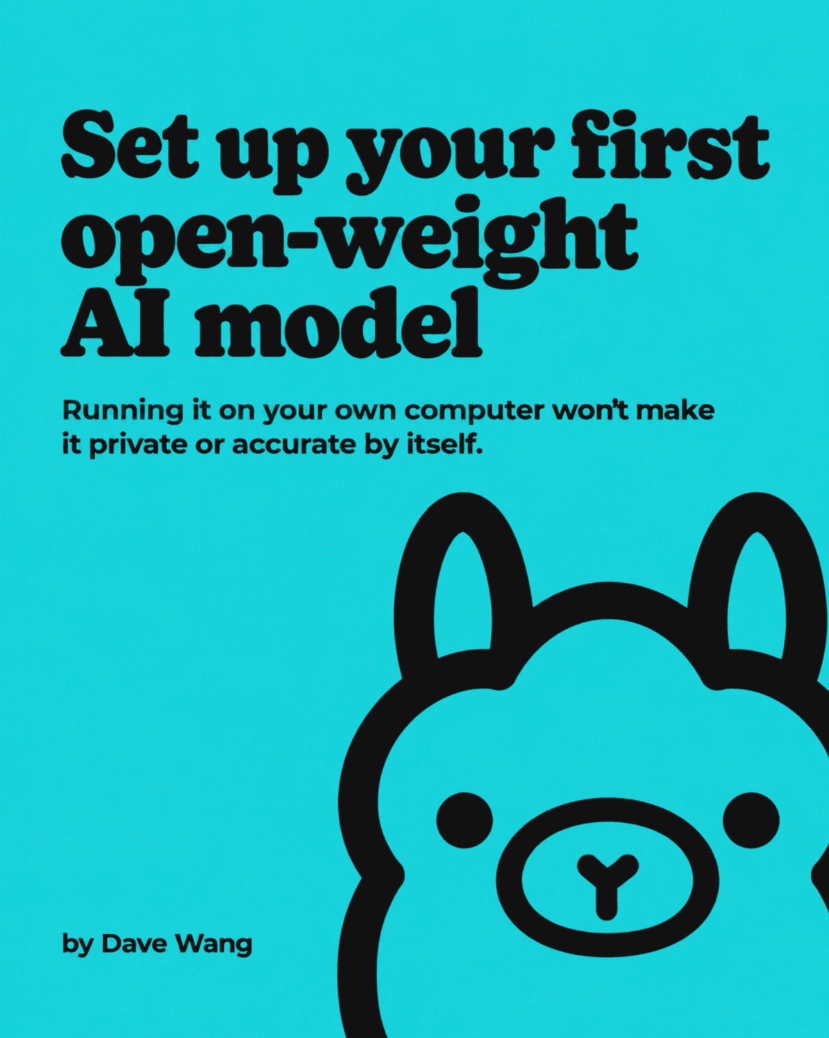 Set Up Your First Open-Weight AI Model